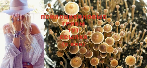 гашиш Зерноград