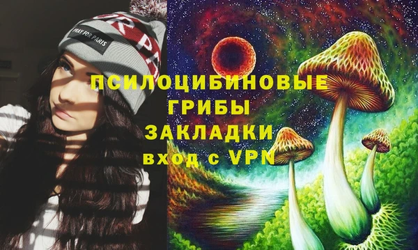 дмт Заводоуковск