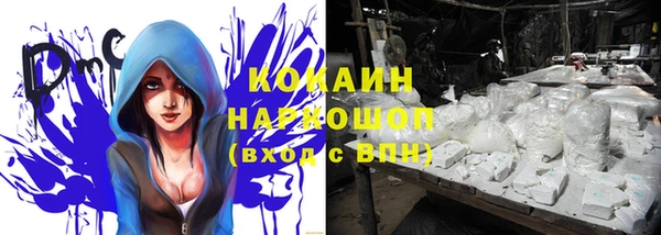 дмт Заводоуковск