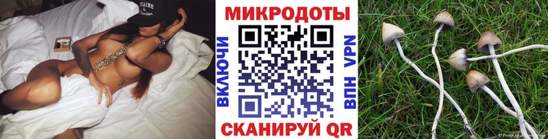Купить  Заинск  Псилоцибиновые грибы ЛСД 